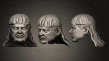 Busts and bas-reliefs of famous people (BUSTC_0733) 3D model for CNC machine